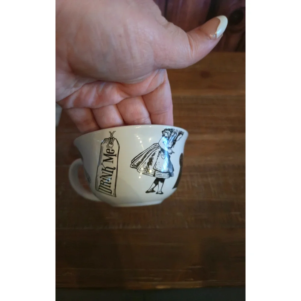 Alice in Wonderland Tea Cup & Saucer Set Mad Hatter White Rabbit Tea Time